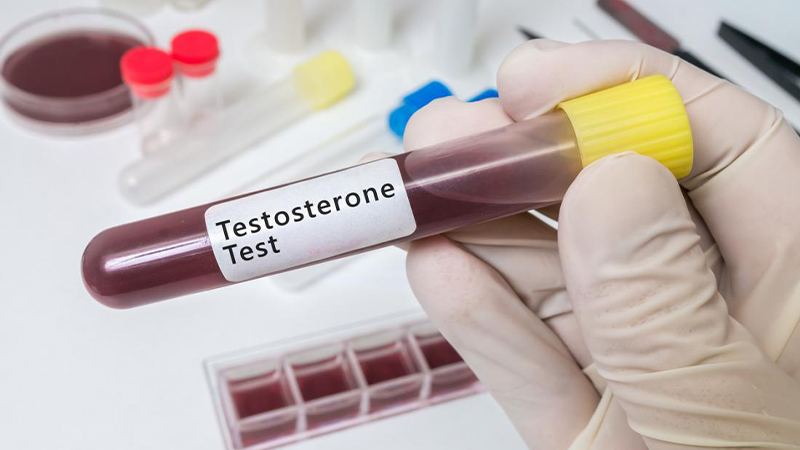 Tác dụng của Testosterone đối với hệ thống tuần hoàn