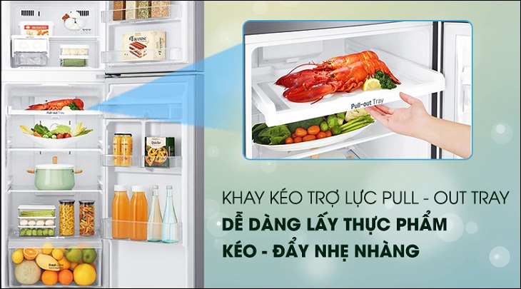 Tư vấn chọn mua tủ lạnh LG chất lượng cho mọi gia đình > Ngăn kéo trợ lực trên Tủ lạnh LG Inverter 255 lít GN-D255PS