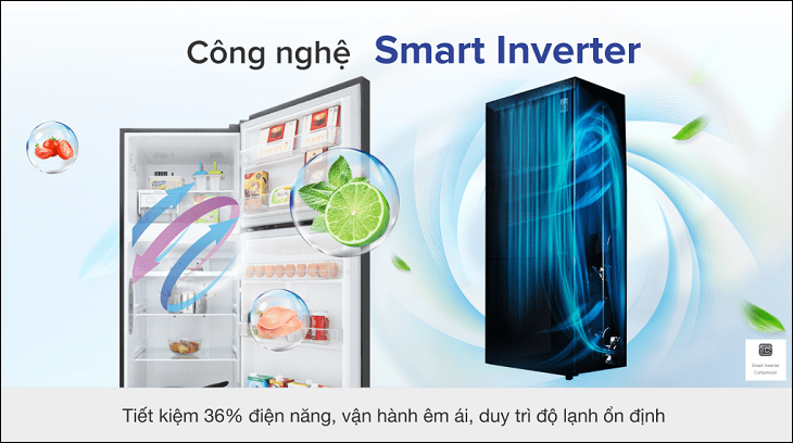 Tư vấn chọn mua tủ lạnh LG chất lượng cho mọi gia đình > Công nghệ Smart Inverter trên Tủ lạnh LG Inverter 315 lít GN-M315BL
