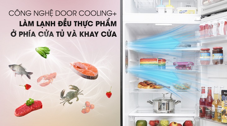 Tư vấn chọn mua tủ lạnh LG chất lượng cho mọi gia đình > Công nghệ Door Cooling+ trên Tủ lạnh LG Inverter 393 lít GN-L422GB
