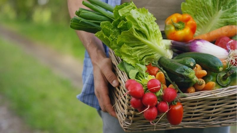 Người bị tiểu đường nên bổ sung nhiều loại rau củ quả trong bữa ăn