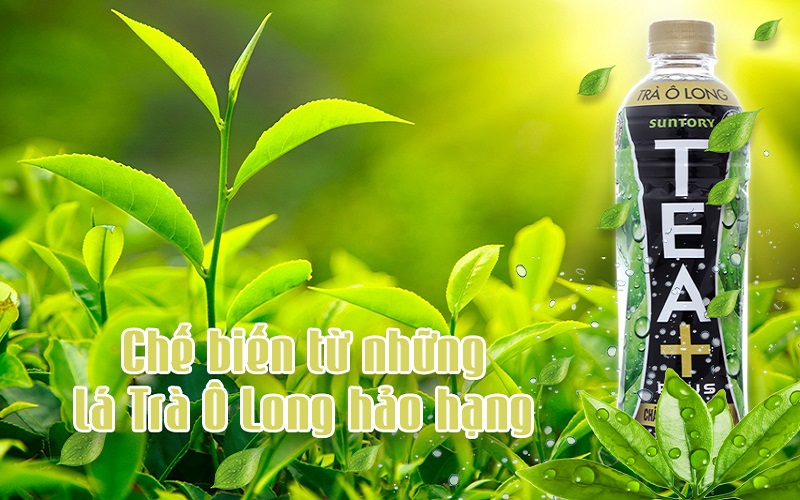 Thành phần, nguyên liệu chính của trà ô long Tea Plus