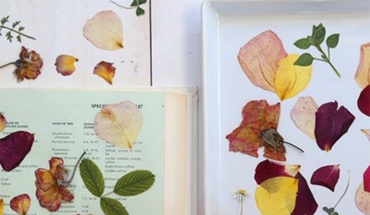 Cách làm hoa ép khô siêu đẹp dùng làm sổ tay, thiệp cực độc đáo 