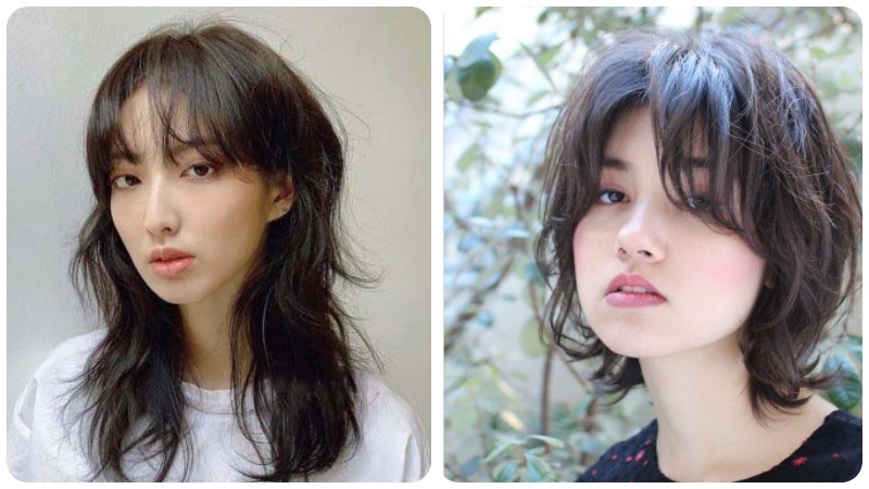 Wolf-cut là một kiểu tóc mới lạ, cắt bob rất phổ biến tại Hàn Quốc được nhiều người quan tâm. Nếu bạn cũng muốn thử kiểu tóc này, hãy xem hình ảnh để tìm hiểu cách cắt và tạo kiểu tóc Wolf-cut nhé!