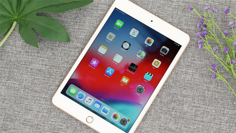 iPad mini 7.9 inch Wifi Cellular 64GB hỗ trợ  3G/4G LTE đa băng tầng thông qua 1 Nano SIM hoặc 1 eSIM. Nguồn: Thegioididong.com.