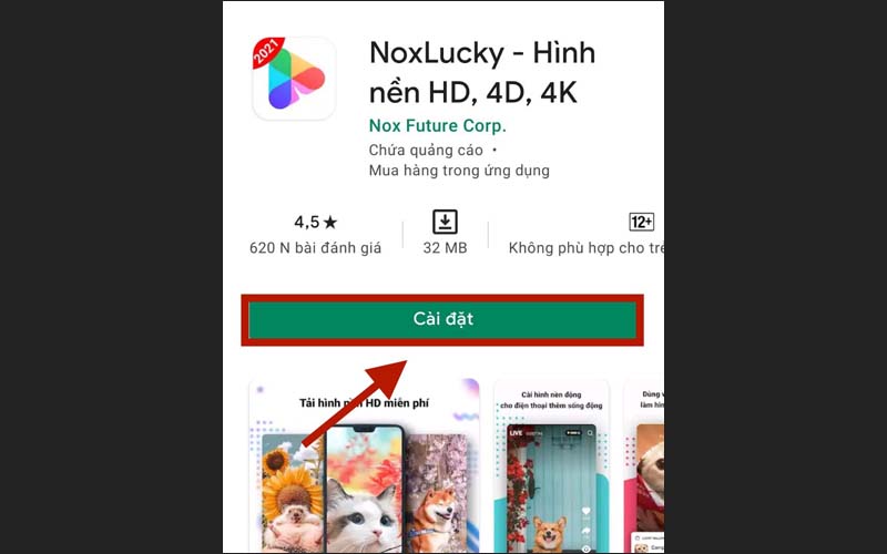 Cách dùng video TikTok làm hình nền iPhone cực hay ho mà bạn nên biết