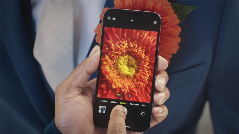 Macro Photography iPhone 13 Pro: Nếu bạn là một tín đồ của nhiếp ảnh Macro, iPhone 13 Pro chính là lựa chọn hoàn hảo cho bạn. Tính năng phản chiếu được cải tiến, khả năng tự động lấy nét chính xác cùng với độ phân giải cao, iPhone 13 Pro sẽ giúp bạn truyền tải được cảm xúc từ những chú bọ cạp và hoa lá.