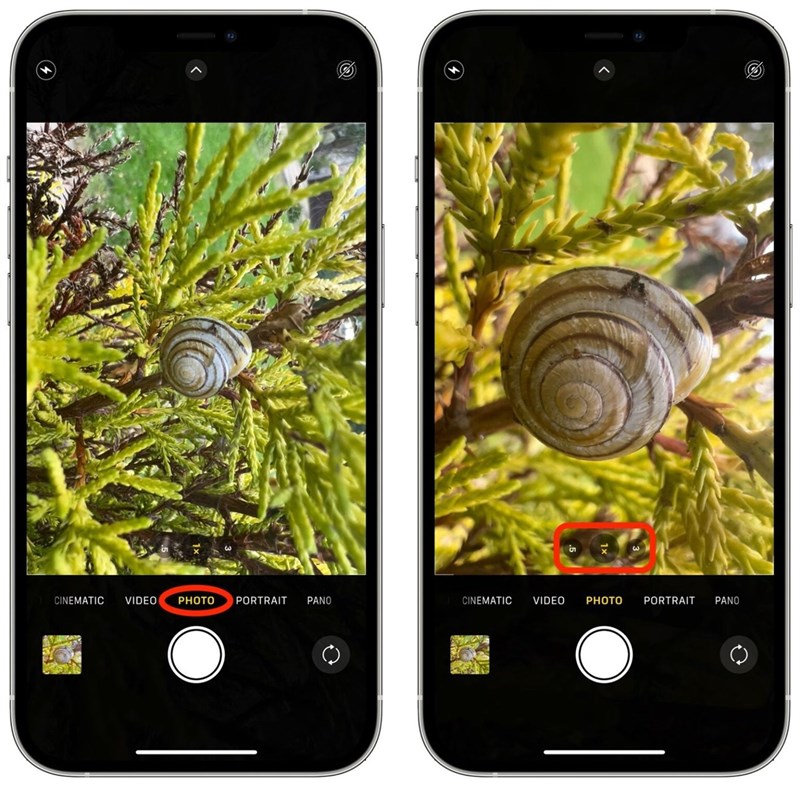 Macro Photography trên iPhone 13 Pro: Với tính năng Macro Photography trên iPhone 13 Pro, bạn có thể mang đến những bức hình tuyệt đẹp về thế giới sống nhỏ bé - cảm nhận sự tinh tế và trau chuốt không gian vô cùng chi tiết. Thử ngay tính năng này và cảm nhận sự khám phá đầy thú vị với iPhone 13 Pro.