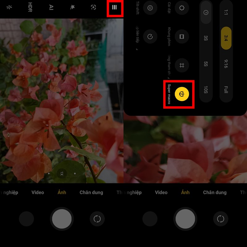 Chụp Super Macro Chụp Super Macro