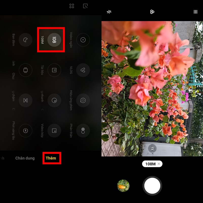 Cách chụp 108MP trên Xiaomi 11T 5G cho bạn một bức ảnh cực nét