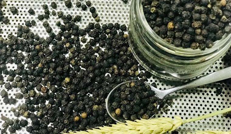 Giá tiêu hôm nay 22/10/2021: Giảm mạnh, trong khoảng 85.500 - 87.500 đồng/kg