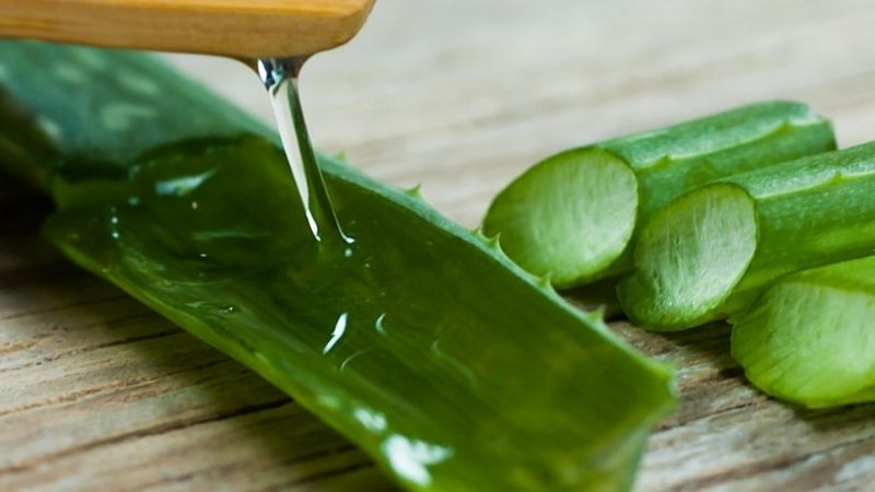Nha đam giúp làm dịu và phục hồi da