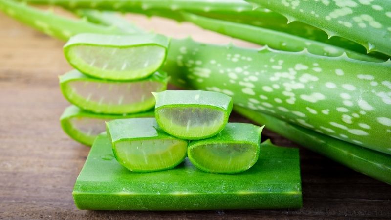 Nên dùng nha đam ít nhất 30-40 phút trước khi tiếp xúc ánh nắng