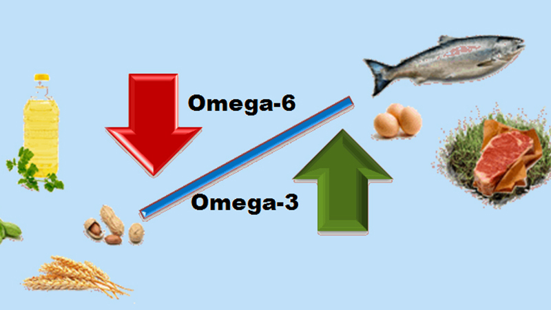 Omega 6 và omega 3