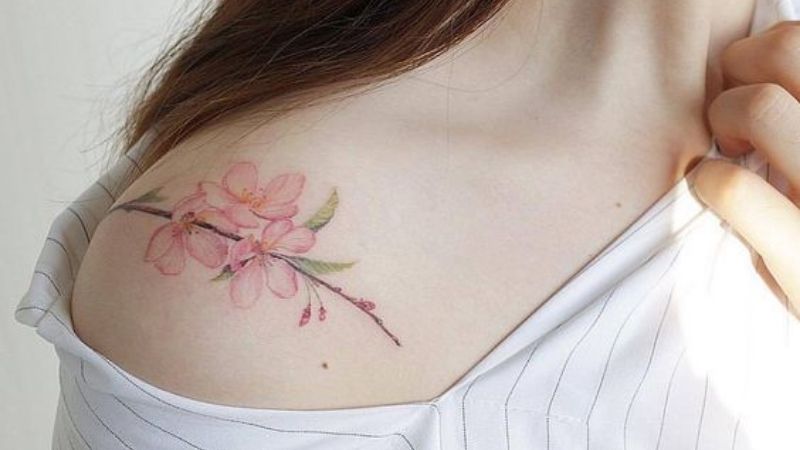 Tác phẩm hình xăm hoa anh đào - Đỗ Nhân Tattoo