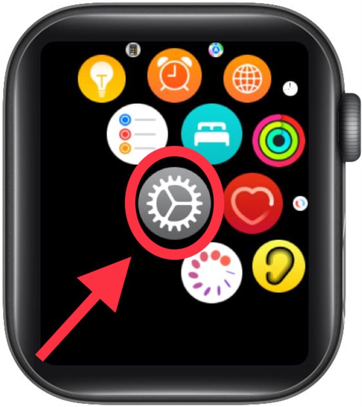 Cách cập nhật watchOS 8