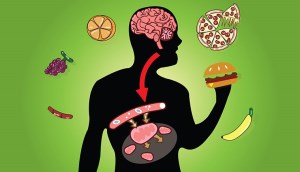 Metabolic và Metabolism là gì? Sự quan trọng của Metaboli với hoạt động sống