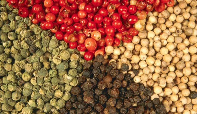 Giá tiêu hôm nay 27/10/2021: Biến động nhẹ, trong khoảng 86.500 - 89.000 đồng/kg