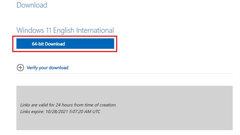 cách tạo USB cài đặt Windows 11 không cần chip bảo mật TPM cách tạo USB cài đặt Windows 11 không cần chip bảo mật TPM