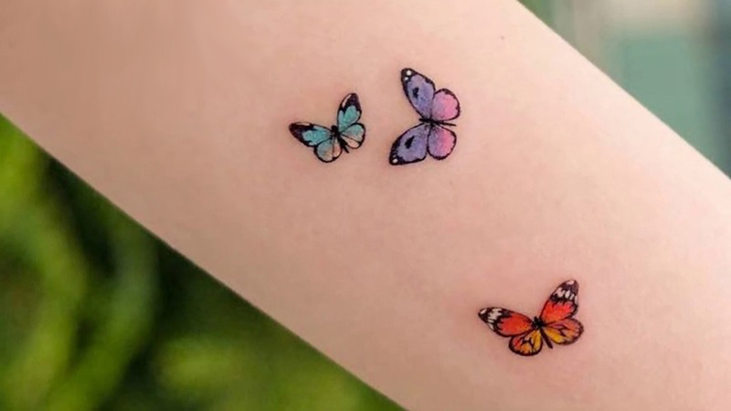 Hình xăm đàn bướm biểu tượng mang đến khát vọng theo gót xua tự động dọ và hạnh phúc
