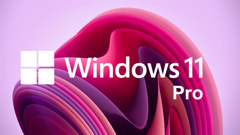 Cách nâng cấp Windows 11 Home lên Windows 11 Pro