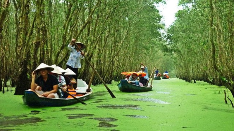 Rừng Tràm Trà Sư - An Giang