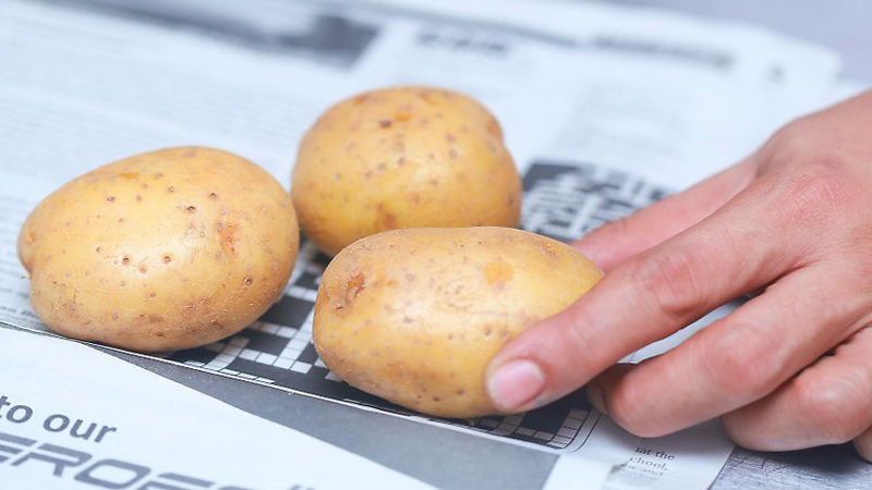 Cách bảo quản khoai tây đúng cách