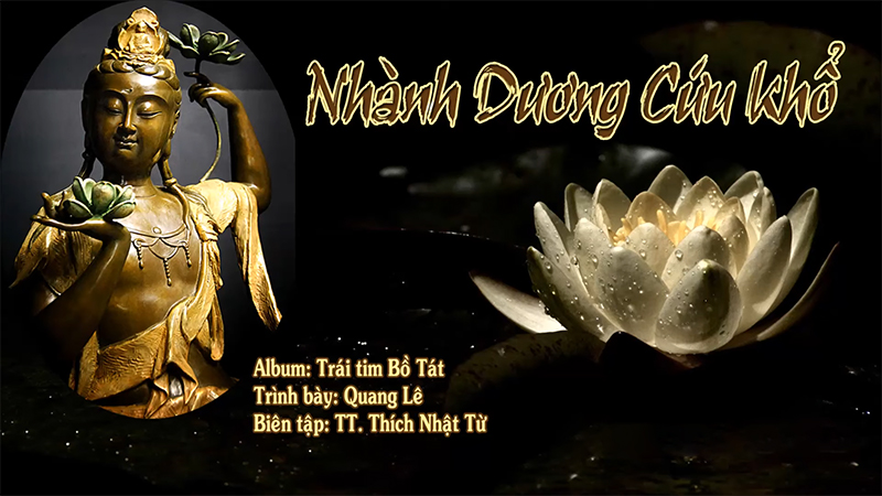 Nhành dương cứu khổ