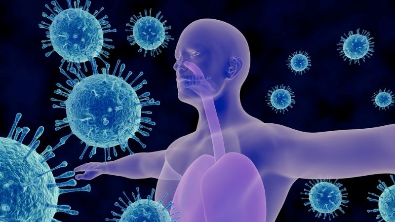 Kích thích hệ thống miễn dịch là lợi ích sức khỏe nổi bật của Beta-glucans