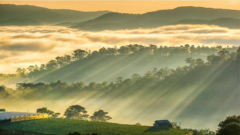 Khung cảnh đẹp mê lòng người trên đồi Du Sinh