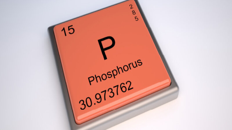 Phospho là khoáng chất dồi dào thứ hai trong cơ thể người