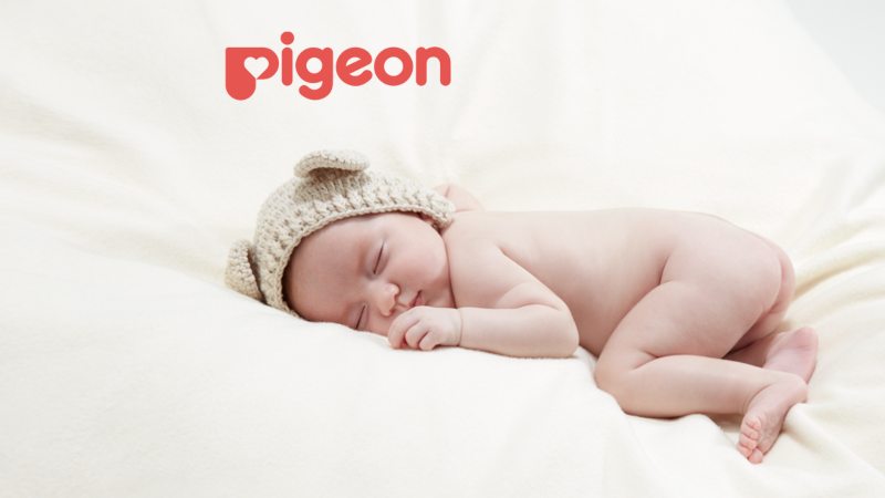 Thương hiệu Pigeon