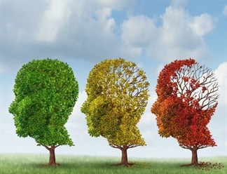 Thuốc Galantamin được sử dụng trong điều trị bệnh Alzheimer như thế nào?
