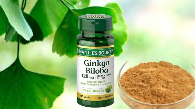 Các sản phẩm ginkgo biloba (cao bạch quả) tốt trên thị trường