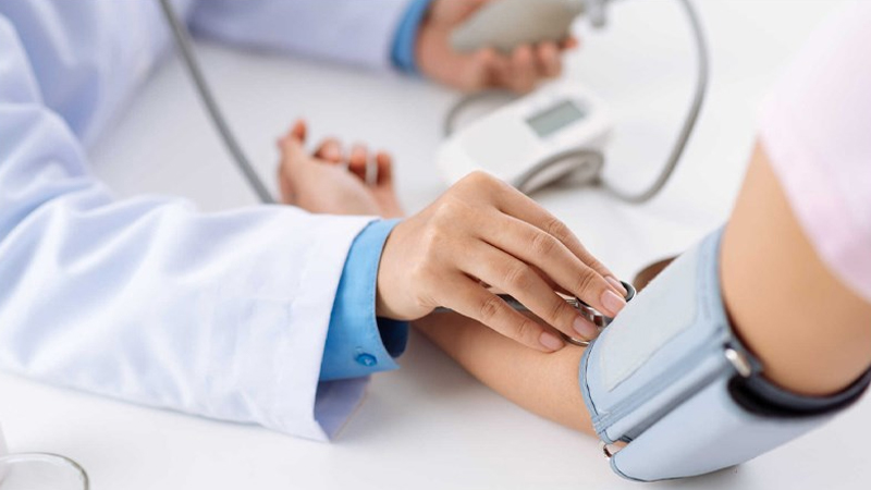 Bình bát dây giúp kiểm soát bệnh tăng huyết áp.