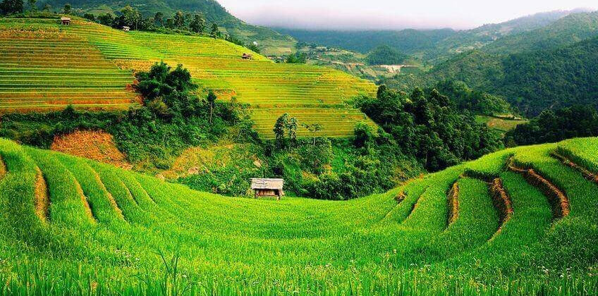 Đối với thuế sử dụng đất nông nghiệp