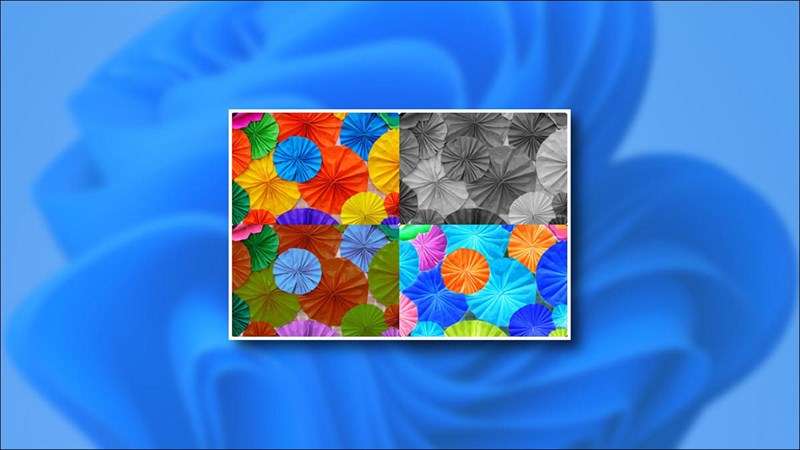 Cách bật bộ lọc màu Color Filter trên Windows 11