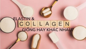 Elastin và Collagen giống hay khác nhau?
