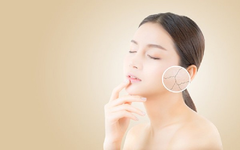 Vì sao cơ thể cần được bổ sung elastin?