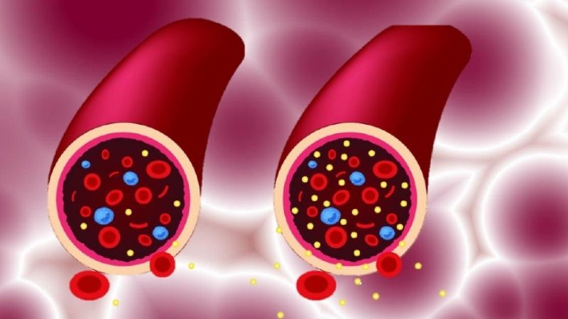 ALA đã được chứng minh có khả năng làm giảm lượng đường trong máu và có thể bảo vệ khỏi tổn thương thần kinh. ALA đã được chứng minh có khả năng làm giảm lượng đường trong máu và có thể bảo vệ khỏi tổn thương thần kinh.