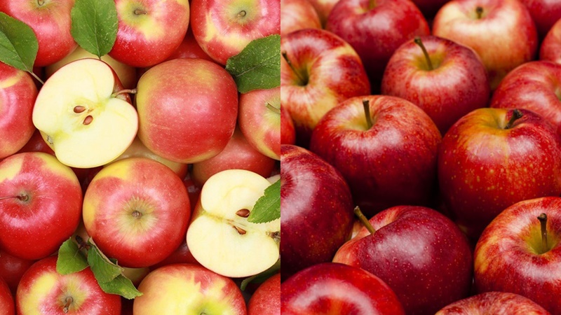 Táo là loại trái cây giúp trị bệnh táo bón cực tốt