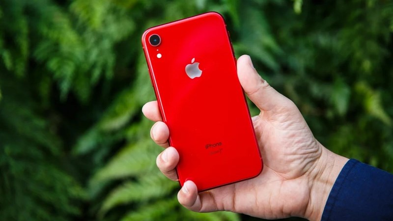 Giảm đến 1.5 triệu đồng, giá iPhone Xr hiện nay tại TGDĐ có gì hot?