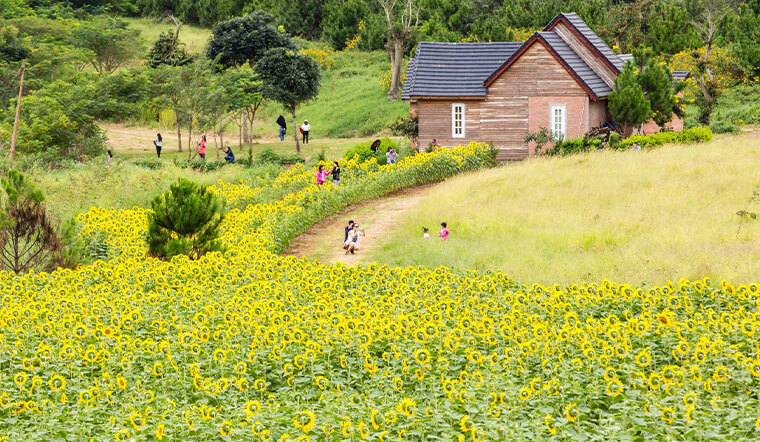 10 nông trại Đà Lạt rộng lớn bao la với nhiều góc sống ảo tuyệt đẹp