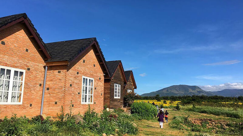 Đà Lạt Milk Farm