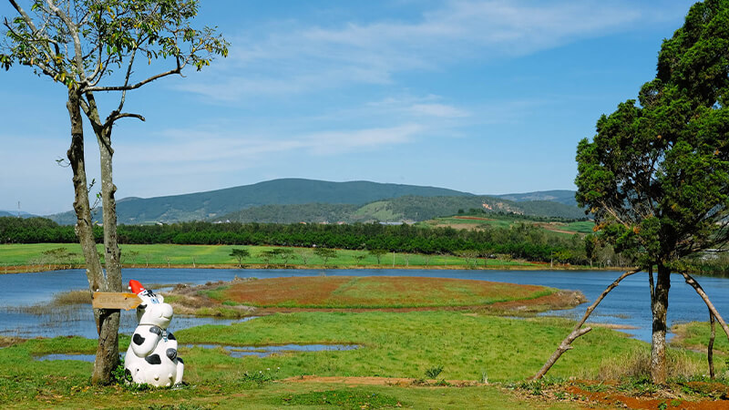 Đà Lạt Milk Farm với khung cảnh đẹp đến nao lòng