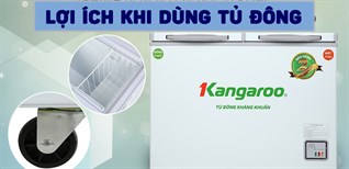 Những lợi ích khi sử dụng tủ đông, tủ mát để bảo quản thực phẩm