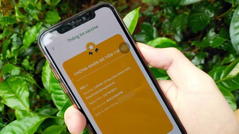 Cách xem thông tin mũi tiêm PC Covid
