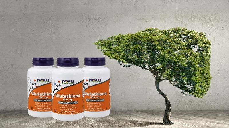 Sản phẩm Now Glutathion 500mg được bổ sung chiết xuất từ cây kế sữa và lipoic acid giúp tăng cường chức năng gan