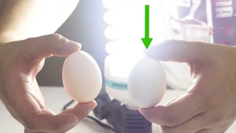 Soi đèn vào trứng
