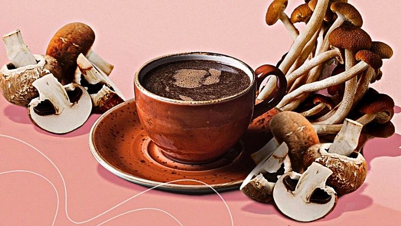 What is mushroom coffee? Benefits of mushroom coffee